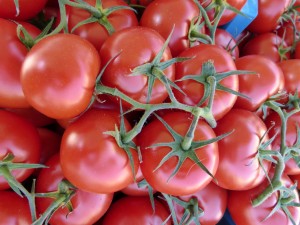 Tomato Basil Pasta