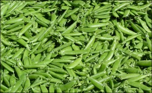 Green Beans