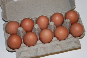 Eggs